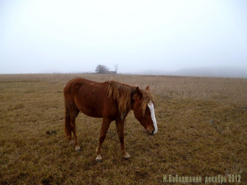 002_letichevskiy_ur_dot