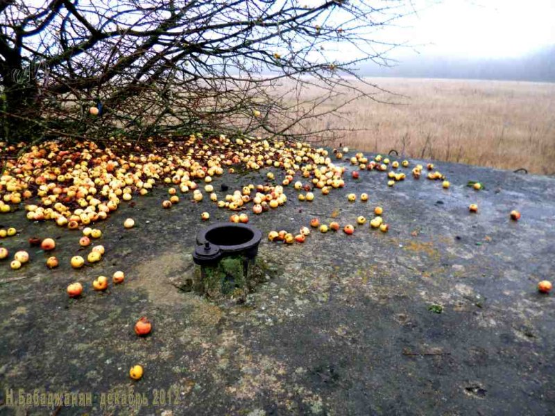004_letichevskiy_ur_dot