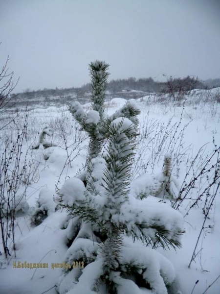 013_letichevskiy_ur_dot
