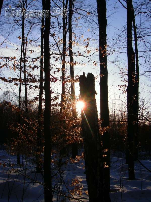 048-Летичевский УР