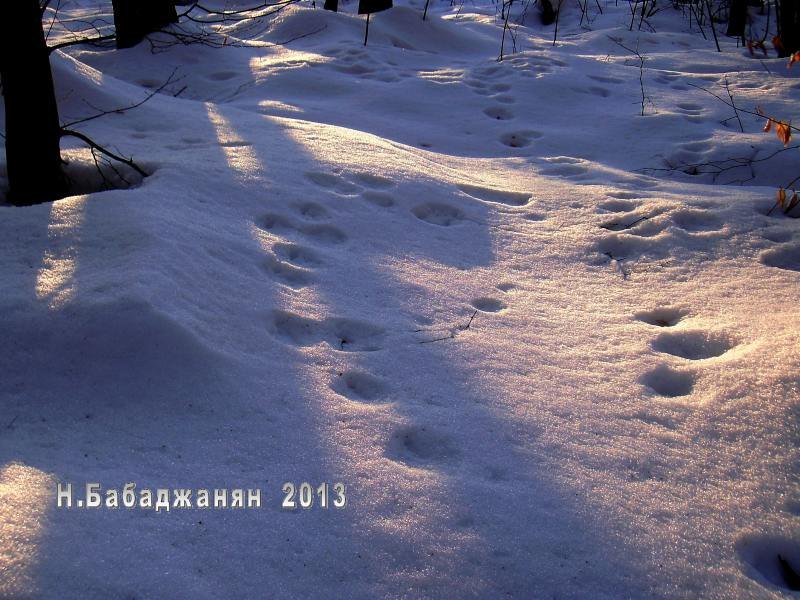 046-Летичевский УР