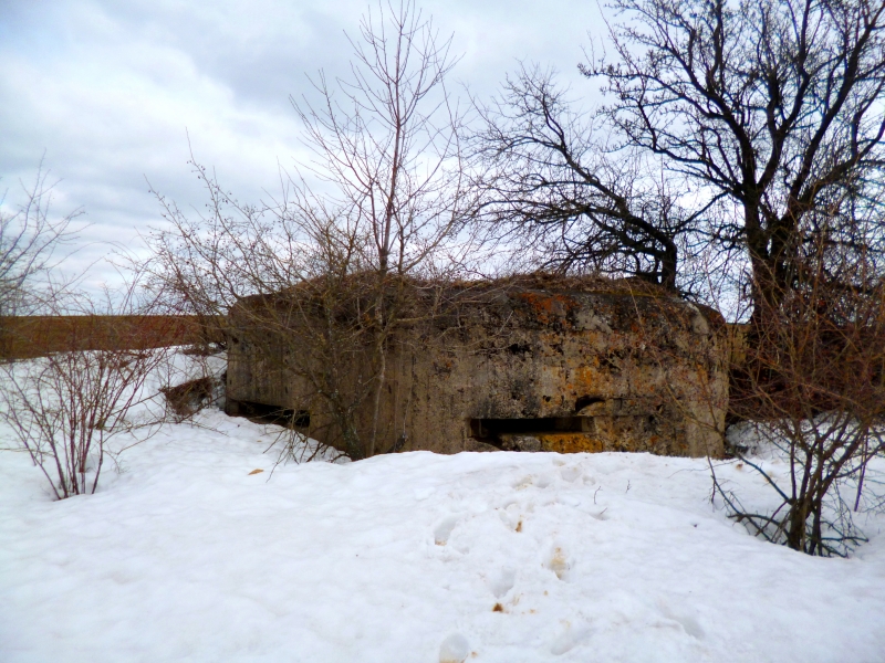 025_letichevskij_ur