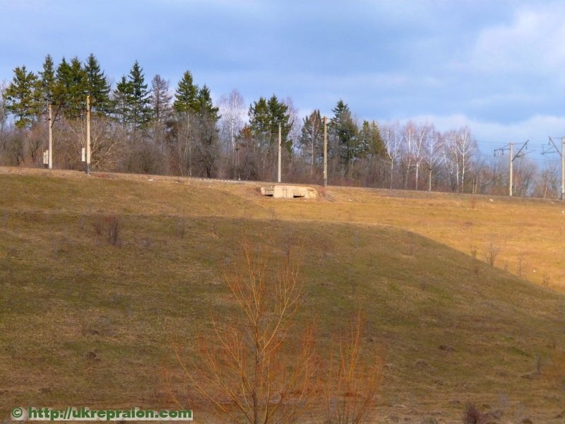 049_letichevskij_ur