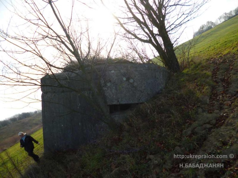 014-letichevskij-ur-dot-pianij-dot