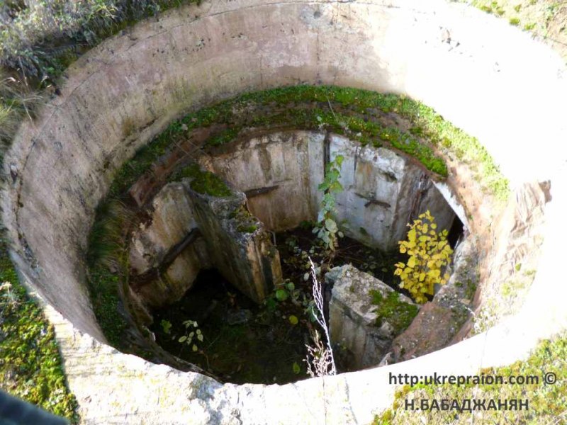 019-letichevskij-ur-dot