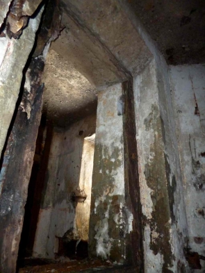 022-letichevskij-ur-dot