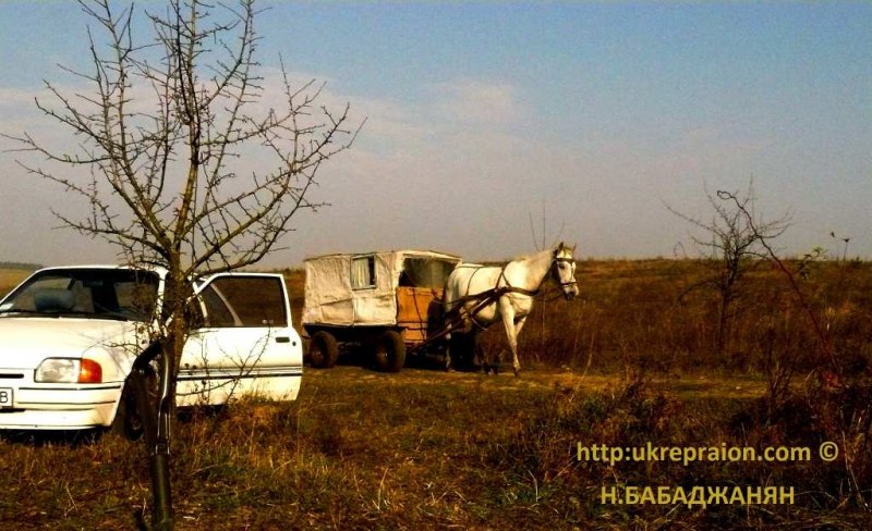 066-letichevskij-ur-dot-lager