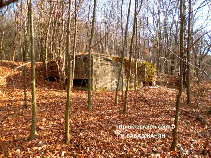 009-letichevskij-ur-ognevaia-tochka