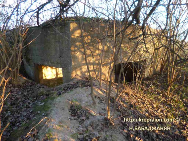 030-letichevskij-ur-masketa