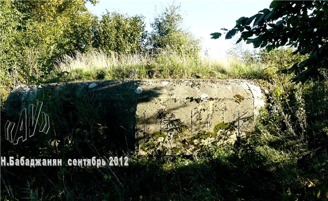 014_letichevskiy_ur_dot_dvuhambrazurnyy
