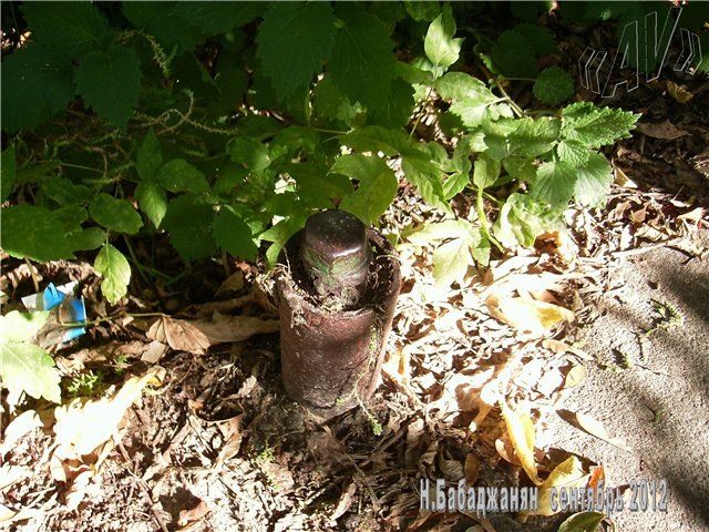 032_letichevskiy_ur_dot_antennyy_vyvod