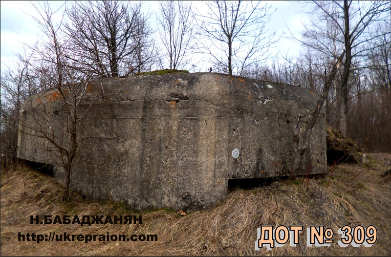 009-dot-309-letichevskij-ur