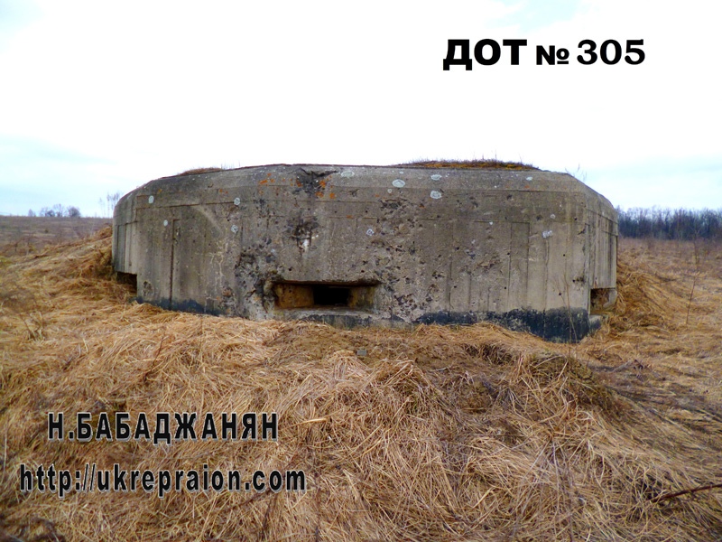 024-dot-305-letichevskij-ur