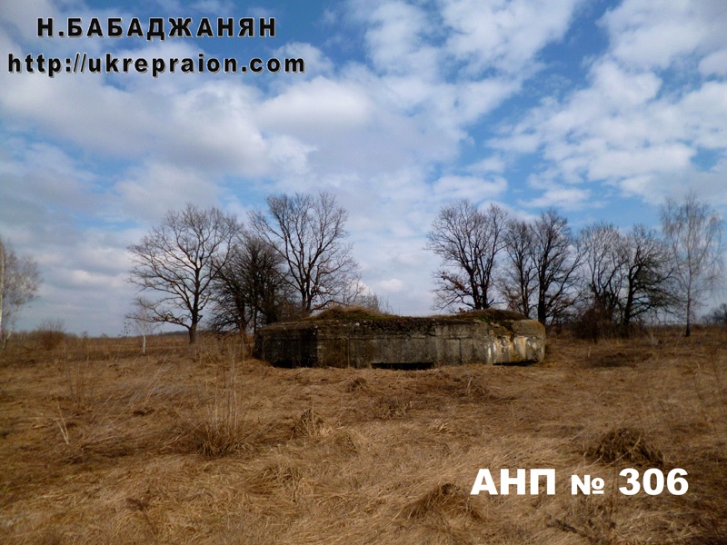 025-anp-306-letichevskij-ur