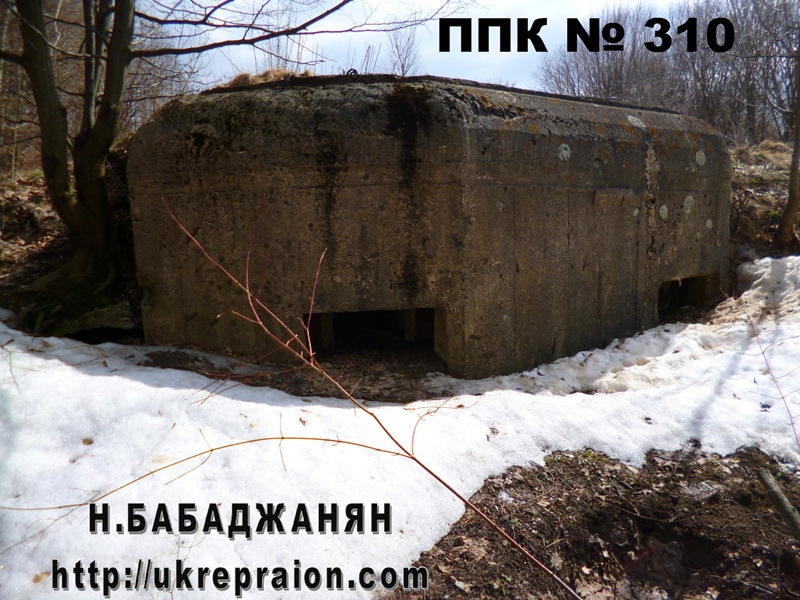 029-ppk-310-letichevskij-ur