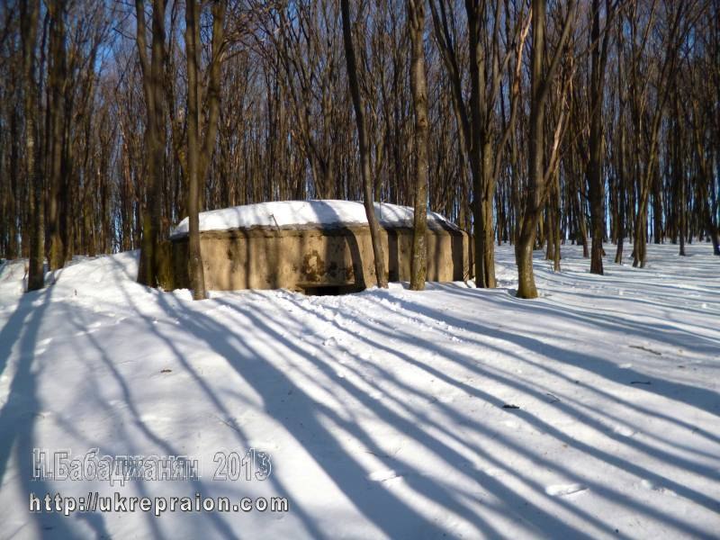 Лесной трёхамбразурник класса М-3