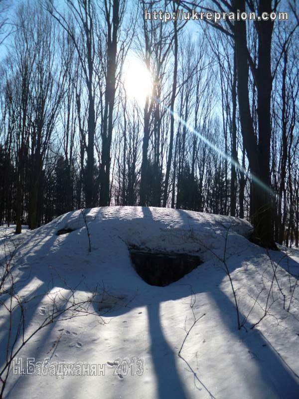 А с виду  берлога – берлогой!