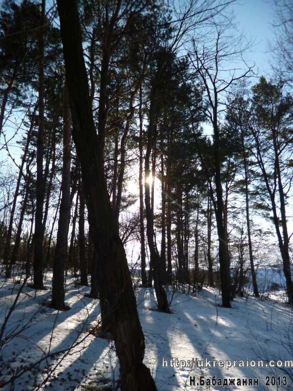 Тихие красоты 12-го БРО