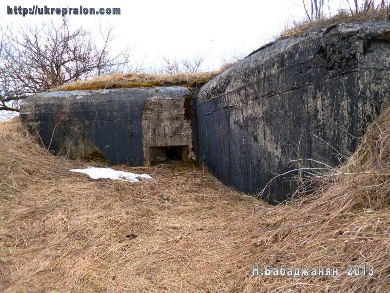 Южная одинокая амбразурка в паре с длиннющим орильоном